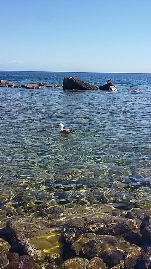 Capraia Per Te Εξωτερικό φωτογραφία